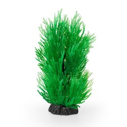 Aqua Natura, roślina, do dekoracji akwarium, zielona, plastikowa, 20 cm , skrzyp morski