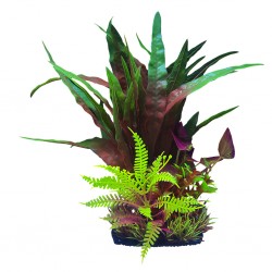 Aqua Natura, roślina, do dekoracji akwarium, bordowo-fioletowo-zielony, plastikowa, 28 cm , mix roślin