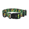Obroża taśma dla psa Tropical, 25mm/50-70cm