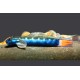 BLUE STREAMGOBY - Sicyopterus lagocephalus