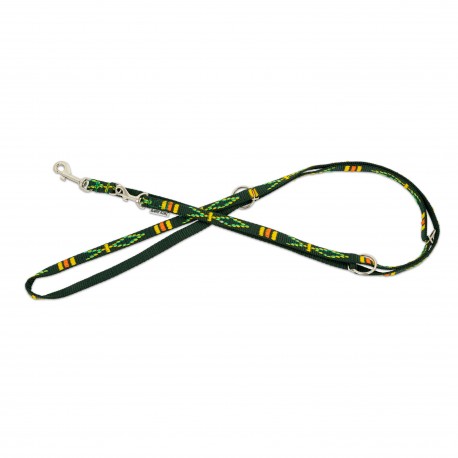 Smycz regulowana dla psa, zielona, wzór etniczny, taśma polipropylenowa, 25mm/220cm