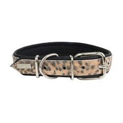 Obroża dla psa, CHEETAH, 30mm/65cm