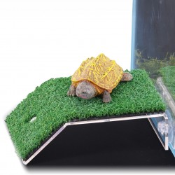 Terra Natura, platforma , wspinaczka dla żółwia, przezroczysta, akryl+PE, 12 x 18.5 cm