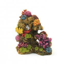 Aqua Natura, dekoracja, do akwarium, rafa koralowa, polirezin+farba, 10.8 x 6.7 x 12 cm