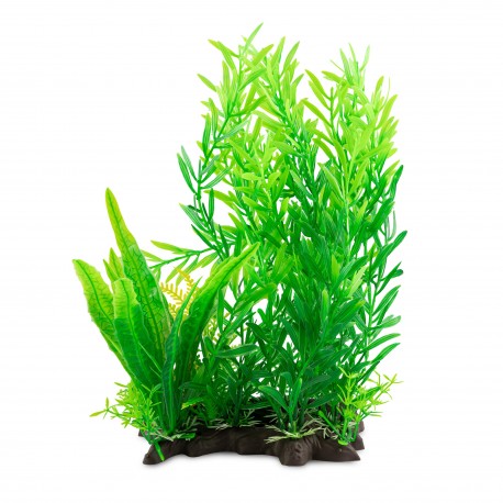 Aqua Natura, roślina, do dekoracji akwarium, zielona, plastikowa, 28 cm , mix rozmaryn i wodorosty
