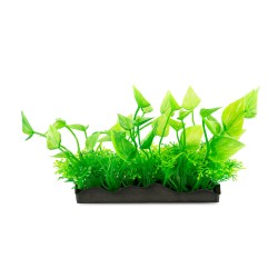 Aqua Natura, roślina, do dekoracji akwarium, zielona, plastikowa, 10 cm , spiczaste liście, krzaczasta podstawa