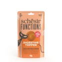 Functions, sumplement, dla kota, dynia i trawa pszeniczna, 40 g, saszetka, wspomaga trawienie