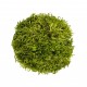 WIO Hypnum Moss, mech dekoracyjny, do terrarium, jasnozielony, 0,095kg
