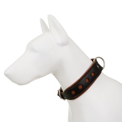 Obroża Skóra Łoś Strong Koła 40mm/45cm koniak