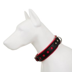 Obroża Skóra Łoś Strong Koła 40mm/55cm czerwony