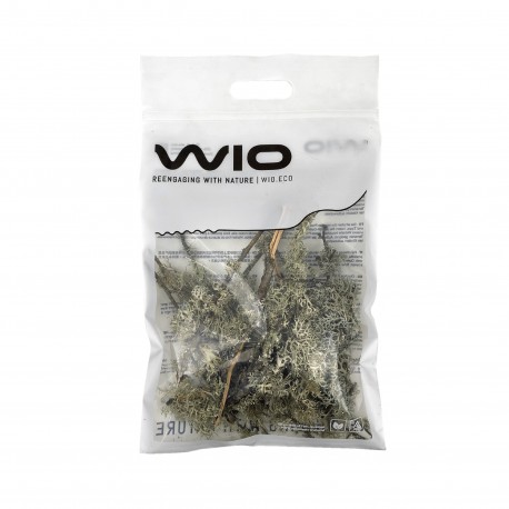 WIO Branches Lichen, porost dekoracyjny, do terrarium, patykowaty, 0,5kg, worek