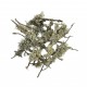 WIO Branches Lichen, porost dekoracyjny, do terrarium, patykowaty, 0,5kg, worek