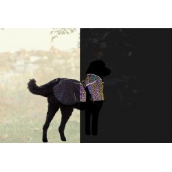 Limoux reflect, płaszczyk, dla psa, odblaskowy, XS: 30 cm