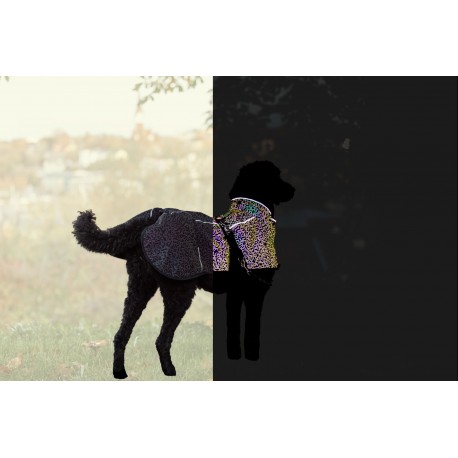 Limoux reflect, płaszczyk, dla psa, odblaskowy, XS: 30 cm