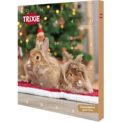 KALENDARZ ŚWIĄTECZNY DLA GRYZONIA