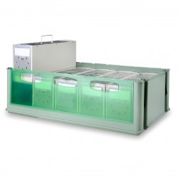 Maxi Tino, skrzynka, z 5 transporterami Secondino Maxi, dla ptaków, zielony, 66,8 x 34,3 x wys21 cm,