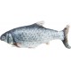 Wriggle fish, zabawka, ryba, dla kota, 30 cm, z kocimiętką, ładowana USB
