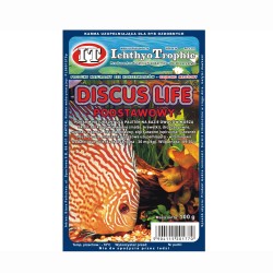MROŻONKA DISCUS LIFE 100G
