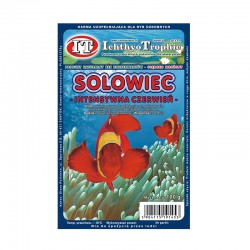 MROŻONKA SOLOWIEC/ARTEMIA INTENSYWNA CZERWIEŃ 100G