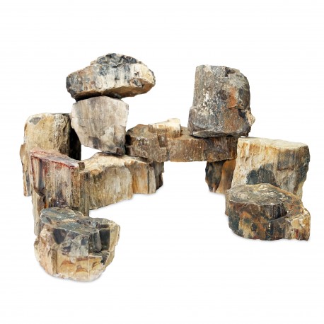 Aqua Natura, skała drewniana skamielina, Wood Fossil, do akwarium/ terrarium