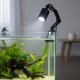 Aqua Natura, lampka led do akwarium/ terrarium, światło białe zimne 6500K