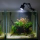 Aqua Natura, lampka led do akwarium/ terrarium z funkcją skupienia światła, światło białe - zimne i ciepłe, 6500K+3200K