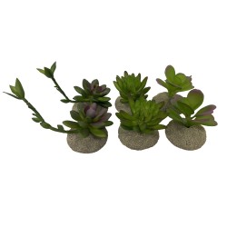 Sukulent, ozdoba, do terrarium, plastik i żywica poliestrowa, mix kolorów, 12 x 11 x 11,5 cm