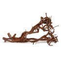 Drewno Satung Wood rozmiar XL, 70cm-80cm