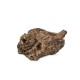 Drewno Slight Wood rozmiar S, 10cm-20cm
