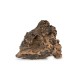 Drewno Slight Wood rozmiar S, 10cm-20cm