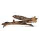 Drewno Slight Wood rozmiar L, 30cm-40cm