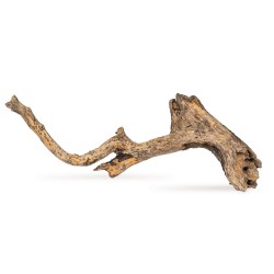 Drewno Slight Wood rozmiar XL, 40cm-50cm