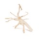 Drewno Thanh Lieu Wood rozmiar S, 20cm-35cm