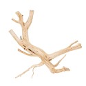 Drewno Thanh Lieu Wood rozmiar L, 50cm-70cm