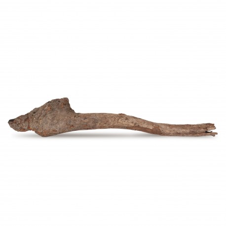 Drewno Kimchi Wood rozmiar L, 30cm-40cm