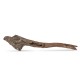 Drewno Kimchi Wood rozmiar L, 30cm-40cm