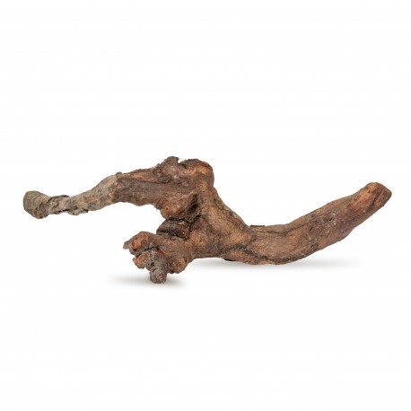 Drewno Kimchi Wood rozmiar XL, 40cm-50cm