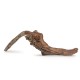 Drewno Kimchi Wood rozmiar XL, 40cm-50cm
