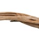 Drewno Tiger Wood mix rozmiarów (50-200 cm)