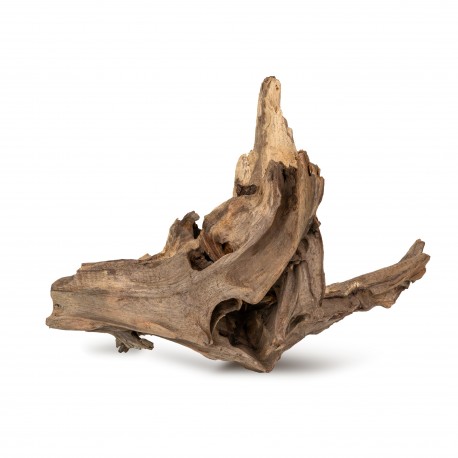 Drewno Brown Core Wood rozmiar M, 20cm-30cm