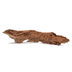 Drewno Brown Core Wood rozmiar L, 30cm-40cm
