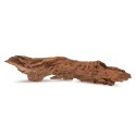 Drewno Brown Core Wood rozmiar L, 30cm-40cm