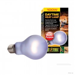 Żarówka Daytime Heat A19/100W