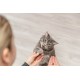SNACKI Premio PALUSZKI ŁOSOŚ/PSTRĄG, 5 × 5 g