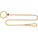 Smycz dla psa typu retriever Summit, dla psa, S–M: 1,80 m/o 9 mm, curry