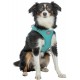 Szelki UrbanVest, dla psa, S–M: 53–56 cm/20 mm, aqua