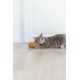 Orzeszek XXL, dla kota, plusz, USA catnip, 20 cm