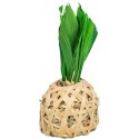 Ananas z bambusa, dla chomika, z liśćmi kukurydzy i sianem, 6,5 × 14 cm
