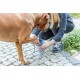 Czyścik do łap Paw Cleaner, dla psa, PP/TPR, L–XL, ciemnoszary/niebieski