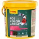 Koi Color Large 3.800 ml, granulat - pokarm postawowy dla Koi